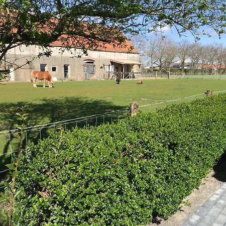 Vakantiewoningen De Schelp 레네세 외부 사진